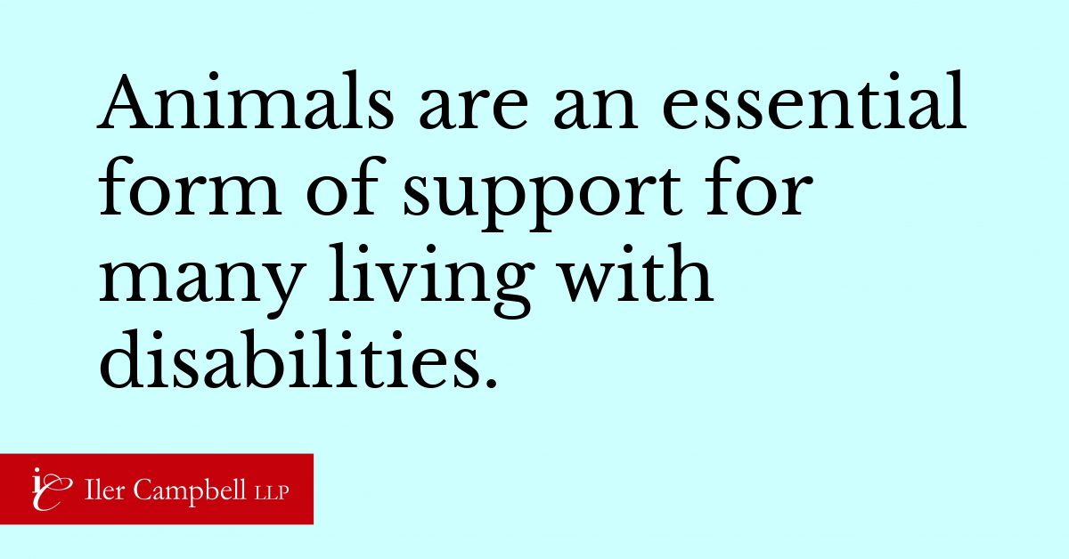 Could Air Canada s Ban On Emotional Support Animals Be Challenged